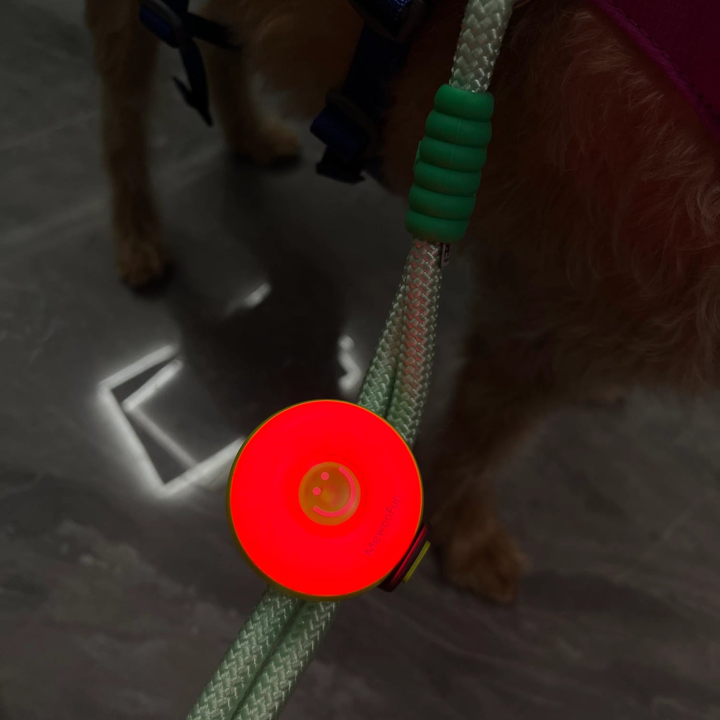 Dog leash with a red plastic handle held by a person on a dark surface