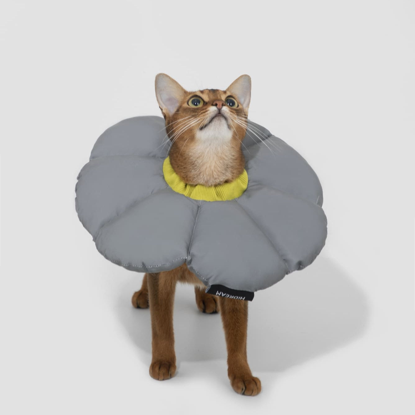 PetzyMart™ Bloom Recovery Collar