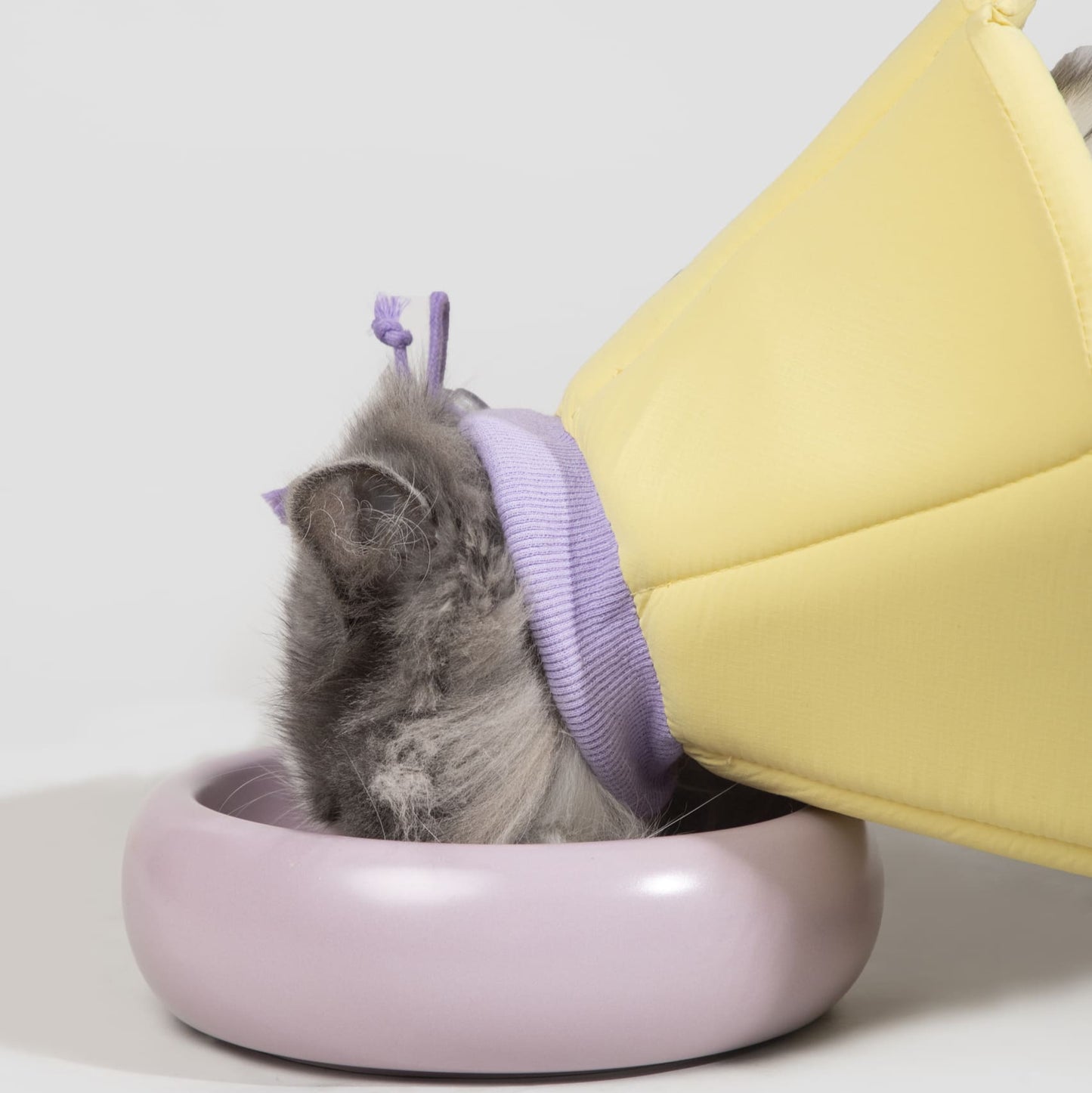 PetzyMart™ CozyCone Collar