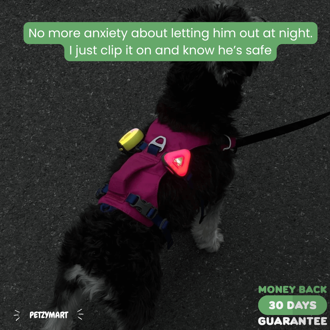 PetzyMart™ PawGlow