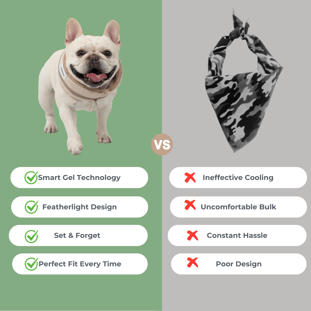 Comparison chart between a dog wearing a cooling vest and a camouflage bandana, highlighting features and drawbacks.