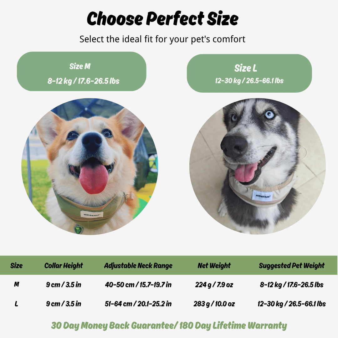 Pet collar size chart with two dogs and measurement details.