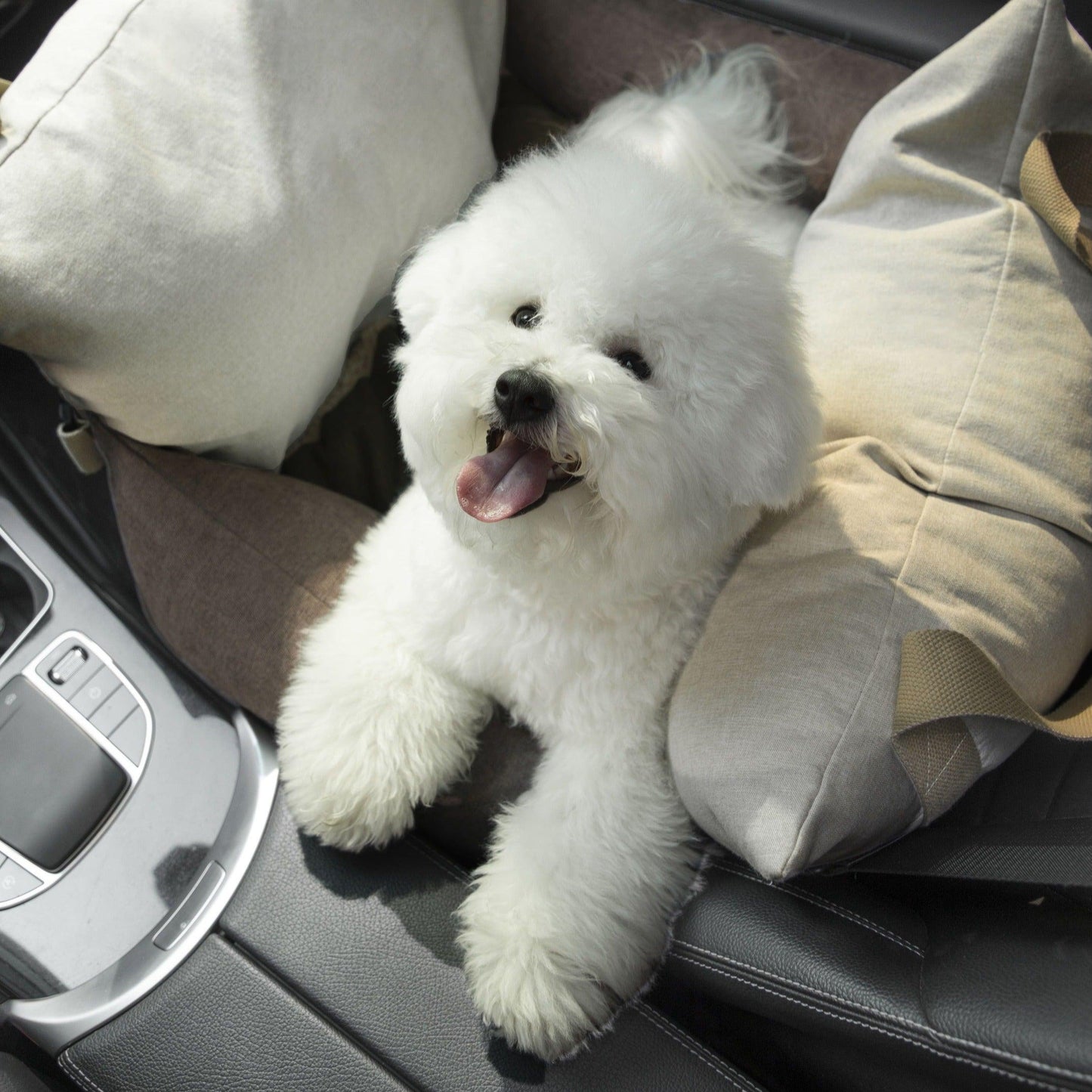 PetzyMart Premium Pet Travel Bed