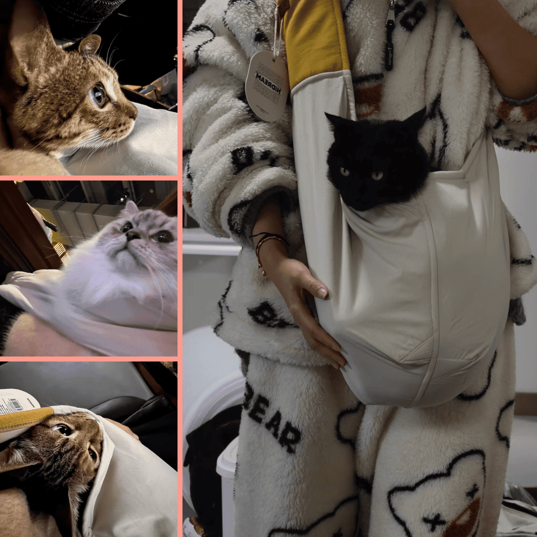 PetzyMart™ ComfyPaws Sling