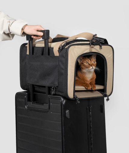 PetzyMart™ AirVista Cabin Carrier