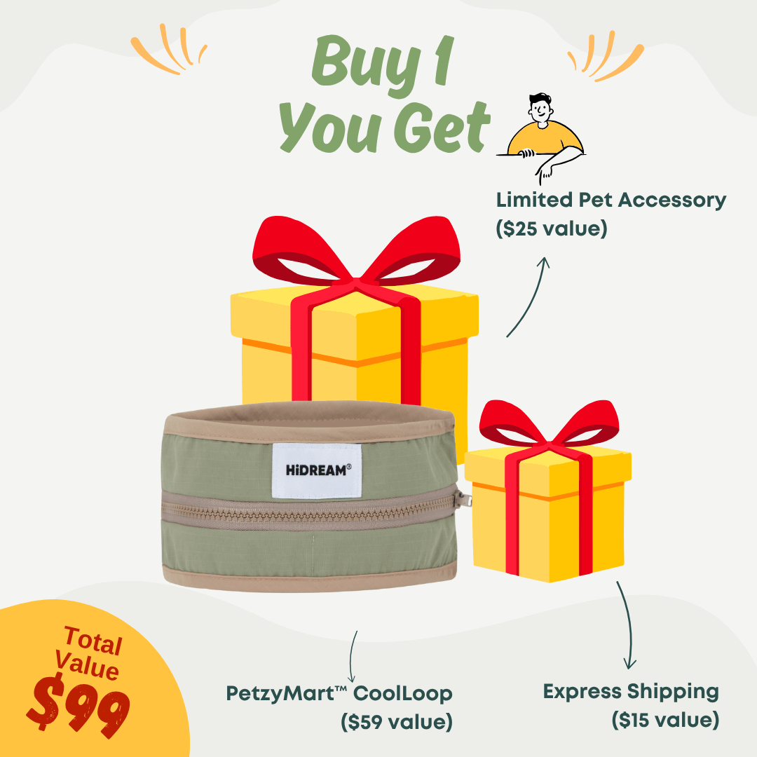 Promotional graphic for a product offer with a green pet accessory, yellow gift boxes, and text indicating value and free items included.
