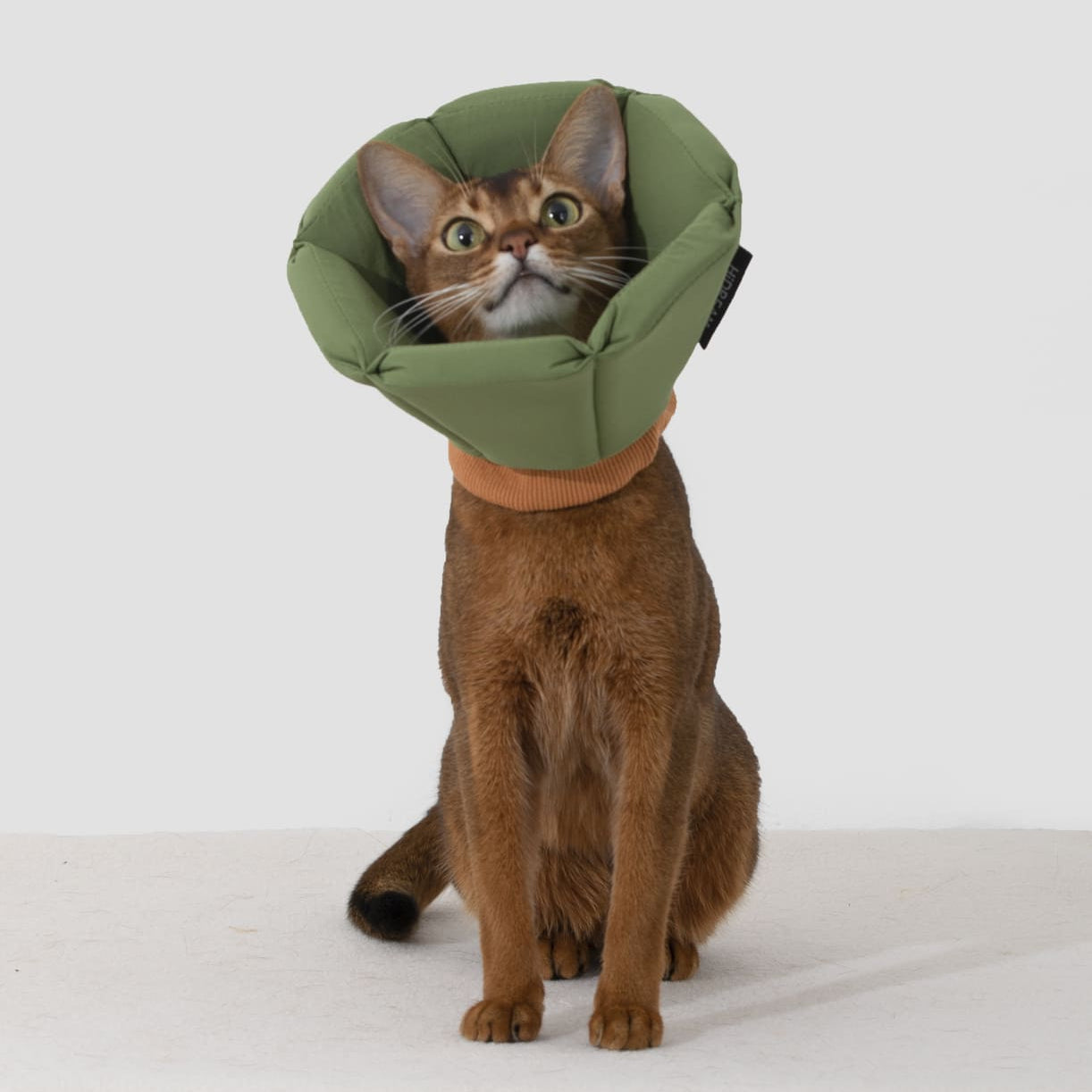 PetzyMart™ CozyCone Collar