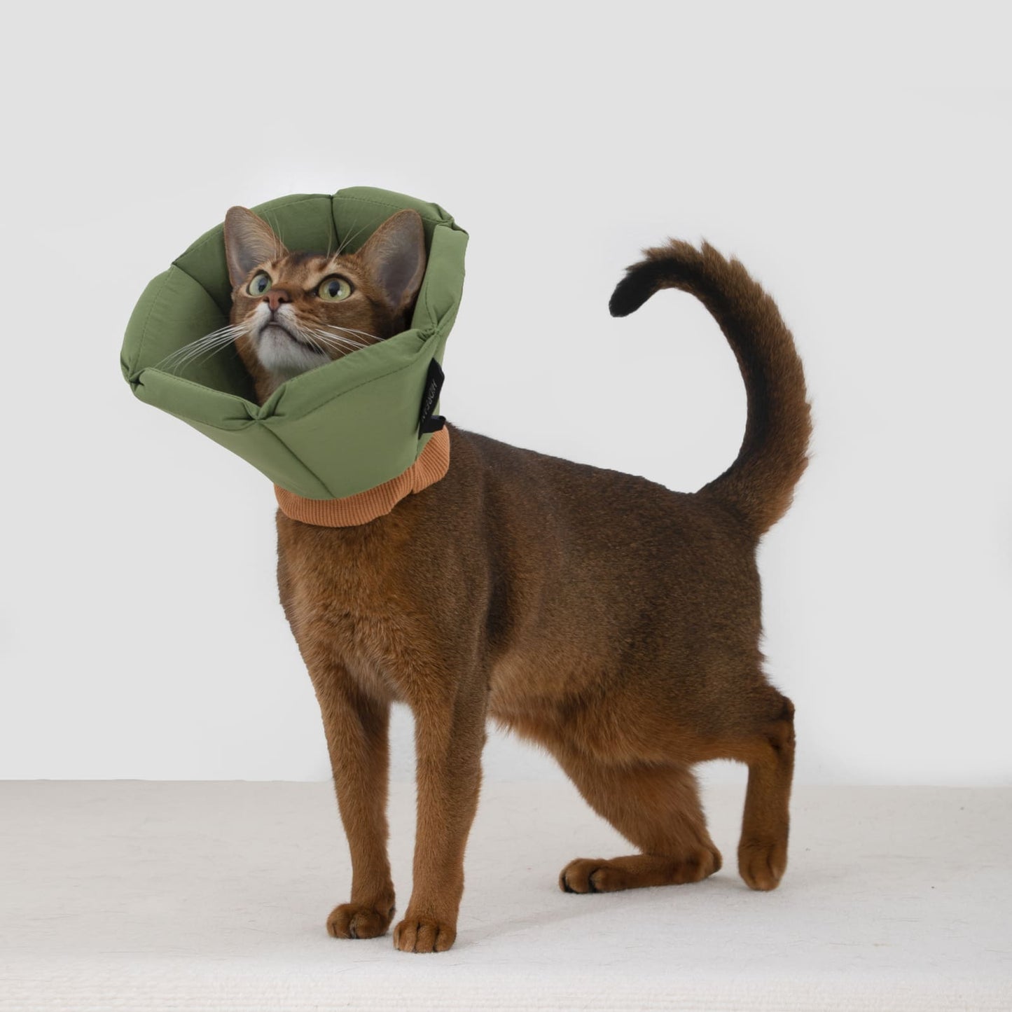 PetzyMart™ CozyCone Collar