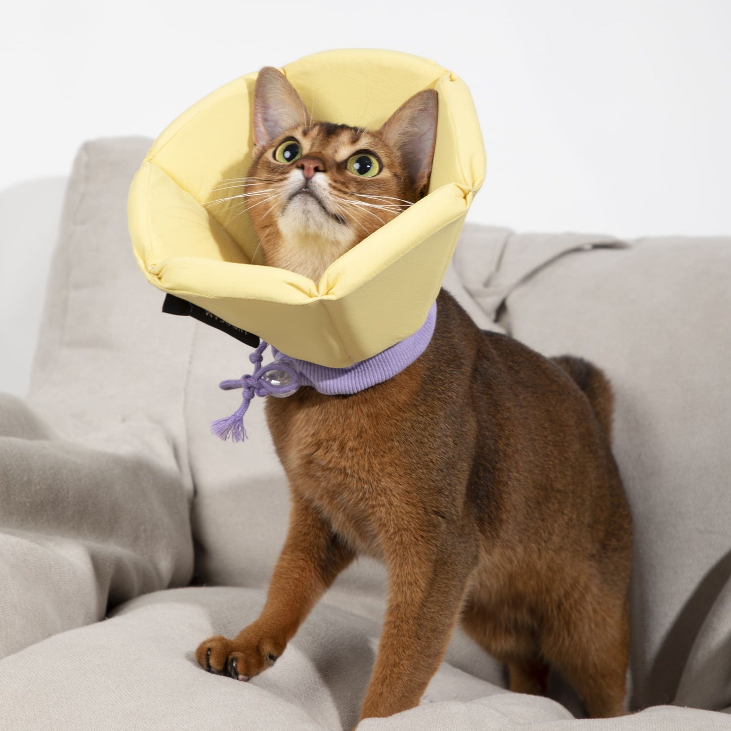 PetzyMart™ CozyCone Collar