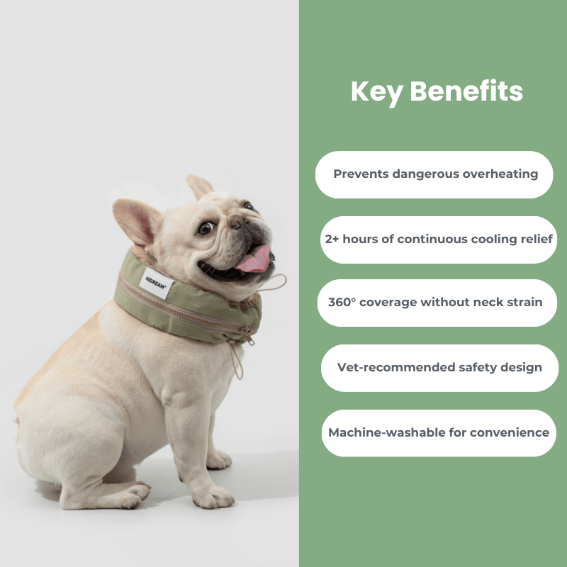 Dog wearing a cooling vest with key benefits listed on a green background