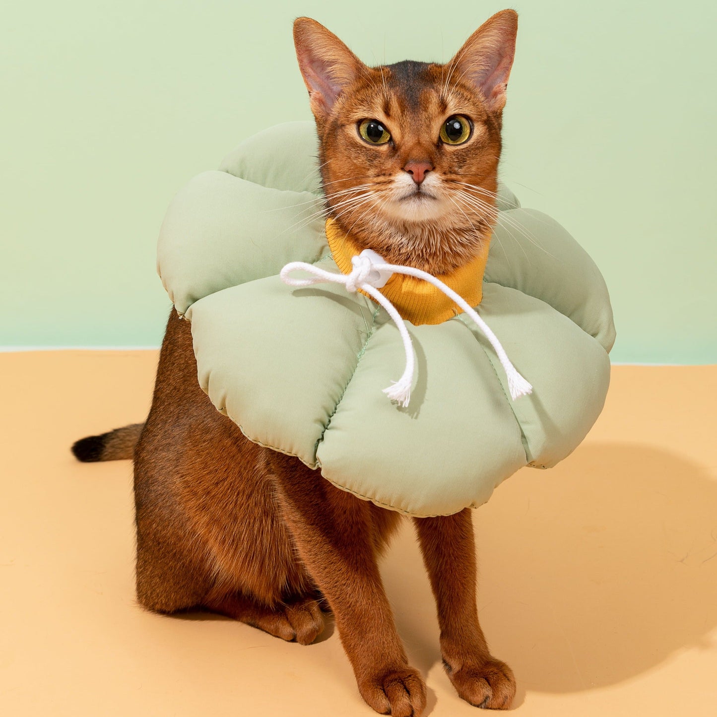 PetzyMart™ Bloom Recovery Collar