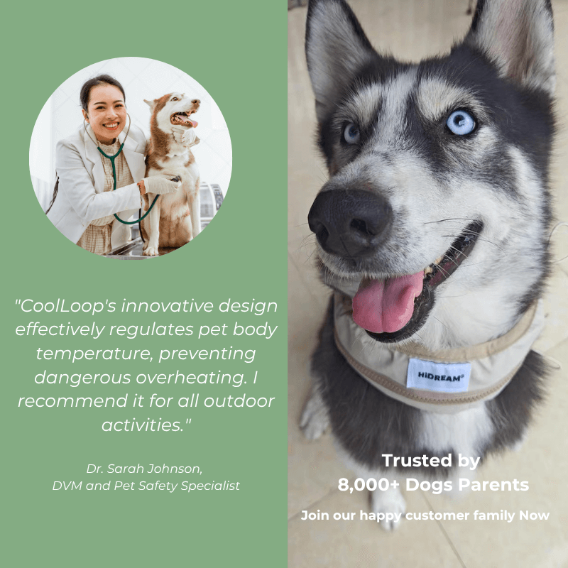 Dog wearing a cooling vest with a quote from a veterinarian and text about the product's benefits.