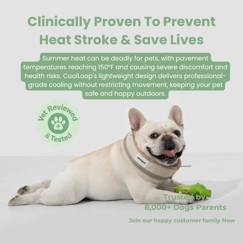 Dog wearing a cooling vest with text about preventing heat stroke and saving lives.