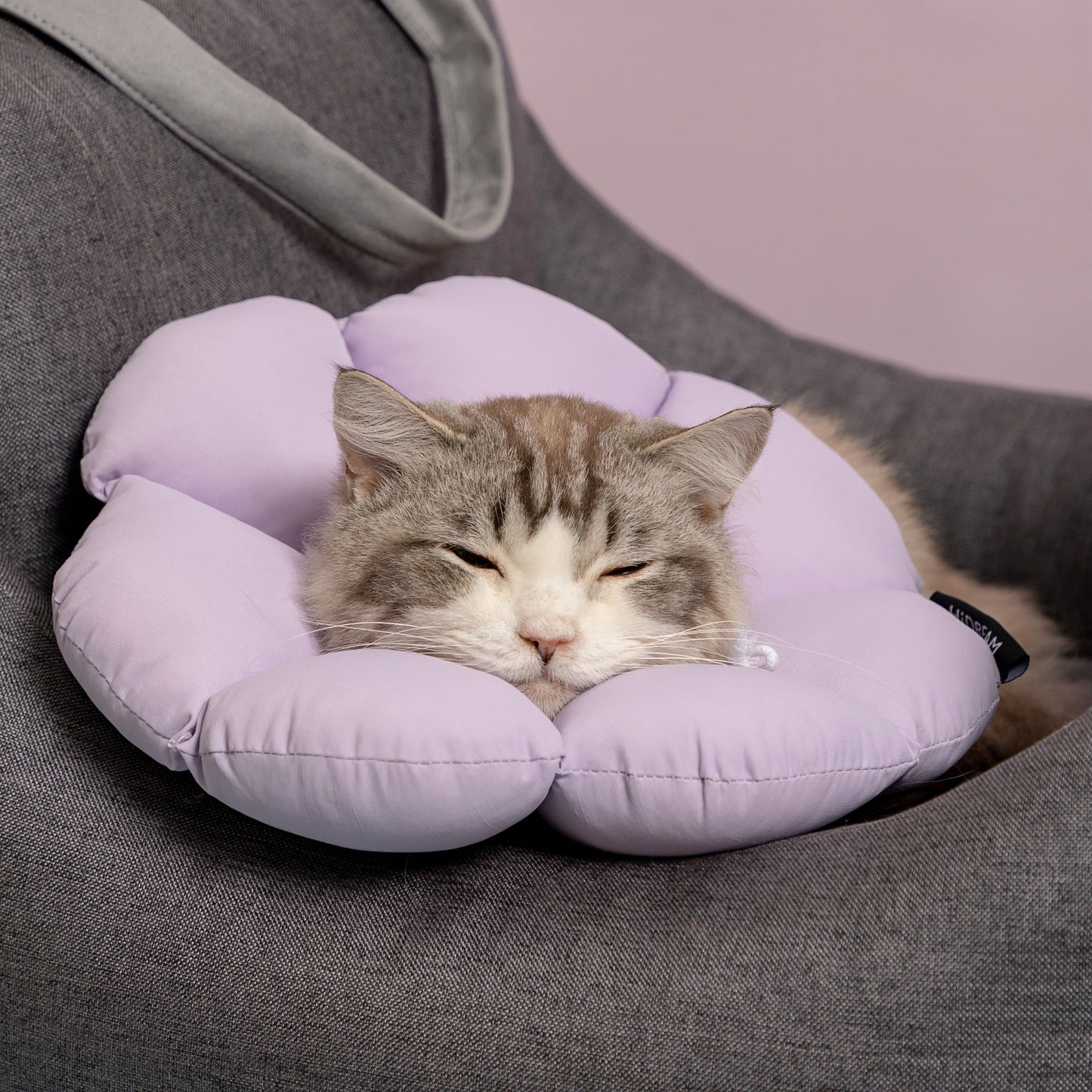 PetzyMart™ Bloom Recovery Collar