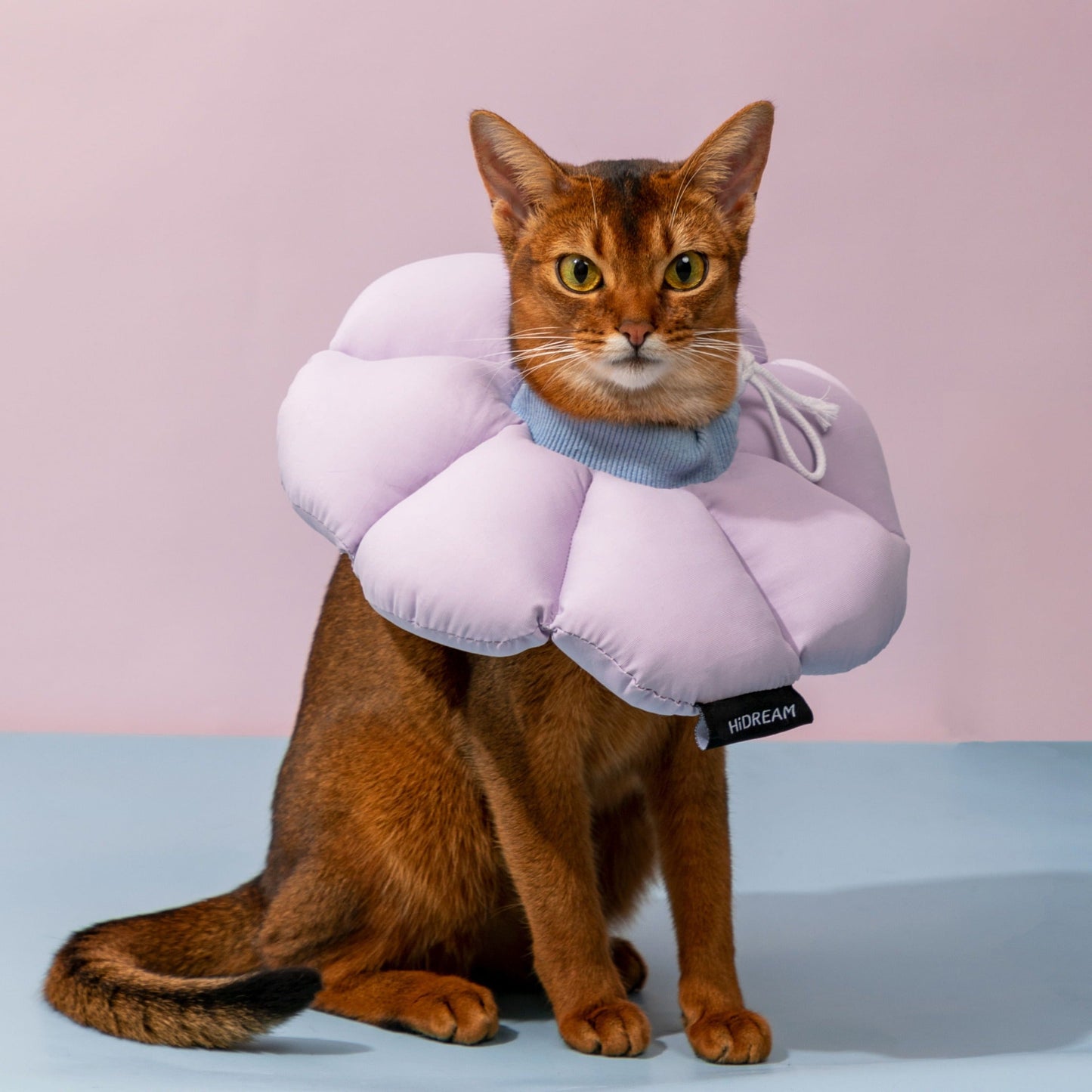 PetzyMart™ Bloom Recovery Collar
