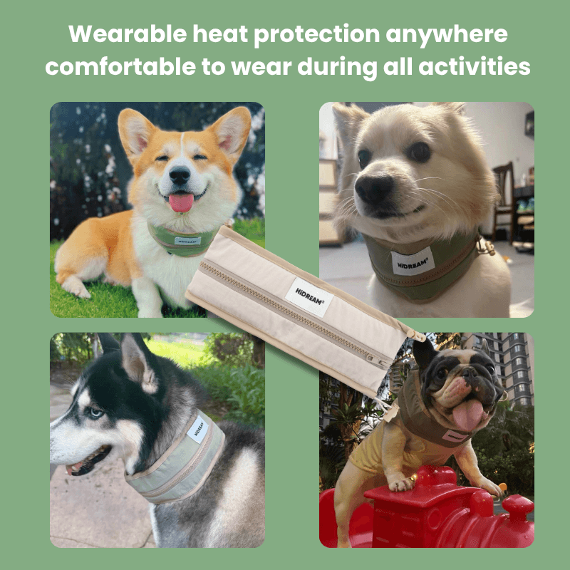Collage of dogs wearing heat protection vests with text about their comfort during activities.