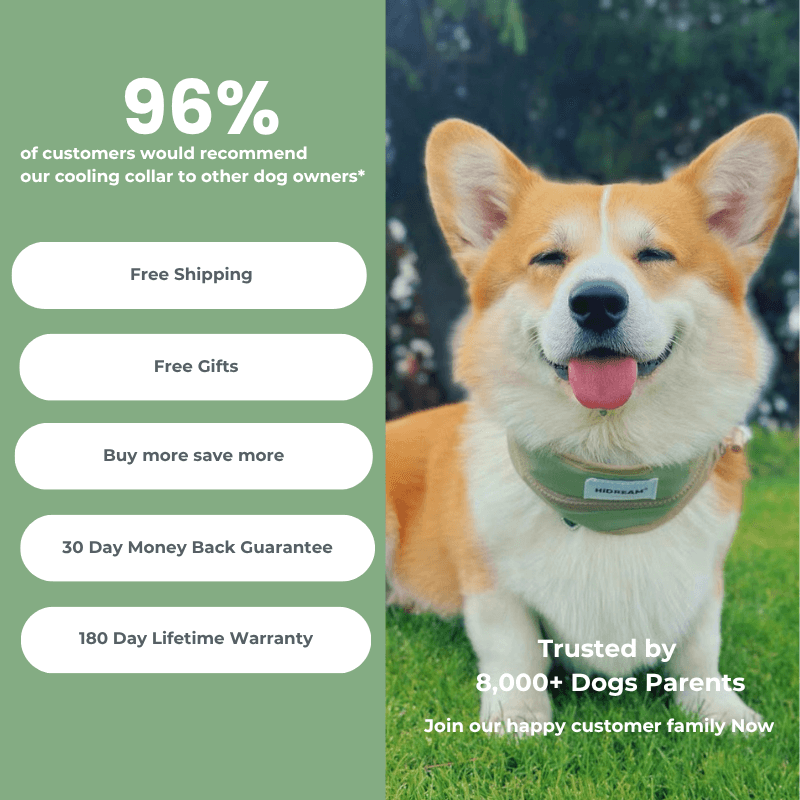 PetzyMart™ CoolLoop