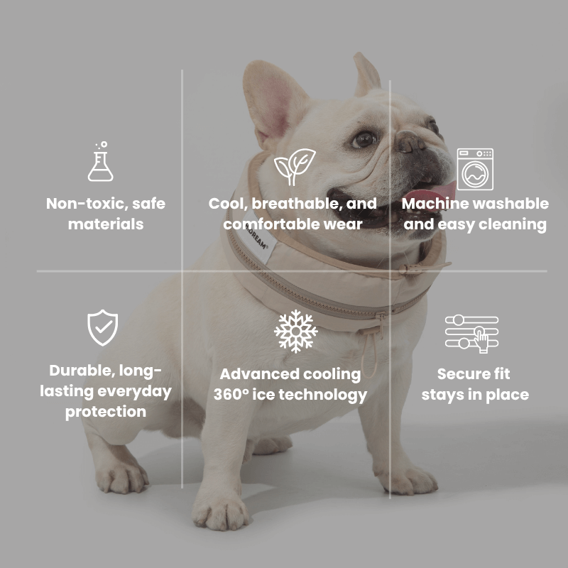 Dog wearing a cooling vest with features listed on a gray background