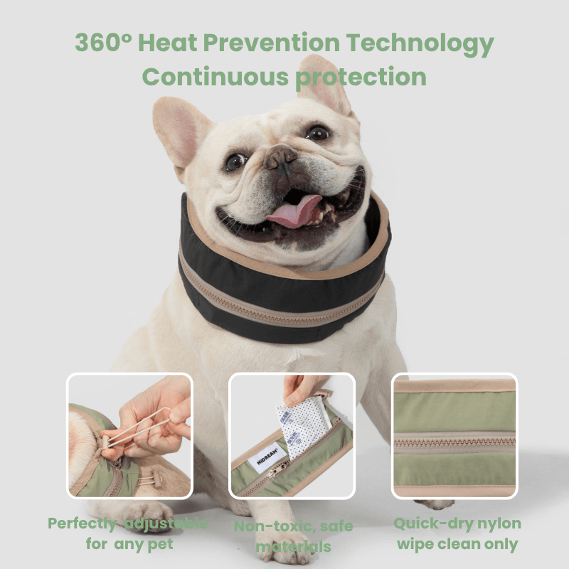 Dog wearing a cooling collar with text about heat prevention technology on a light gray background.