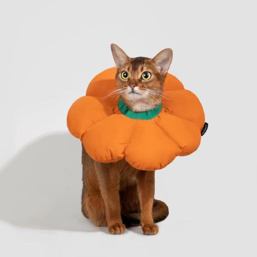 PetzyMart™ Bloom Recovery Collar