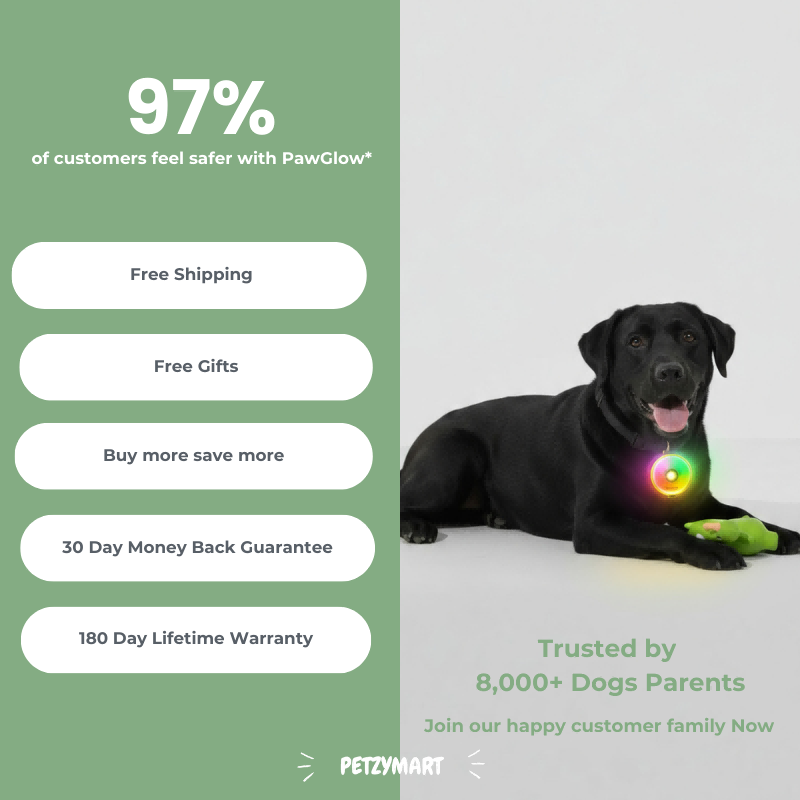 PetzyMart™ PawGlow