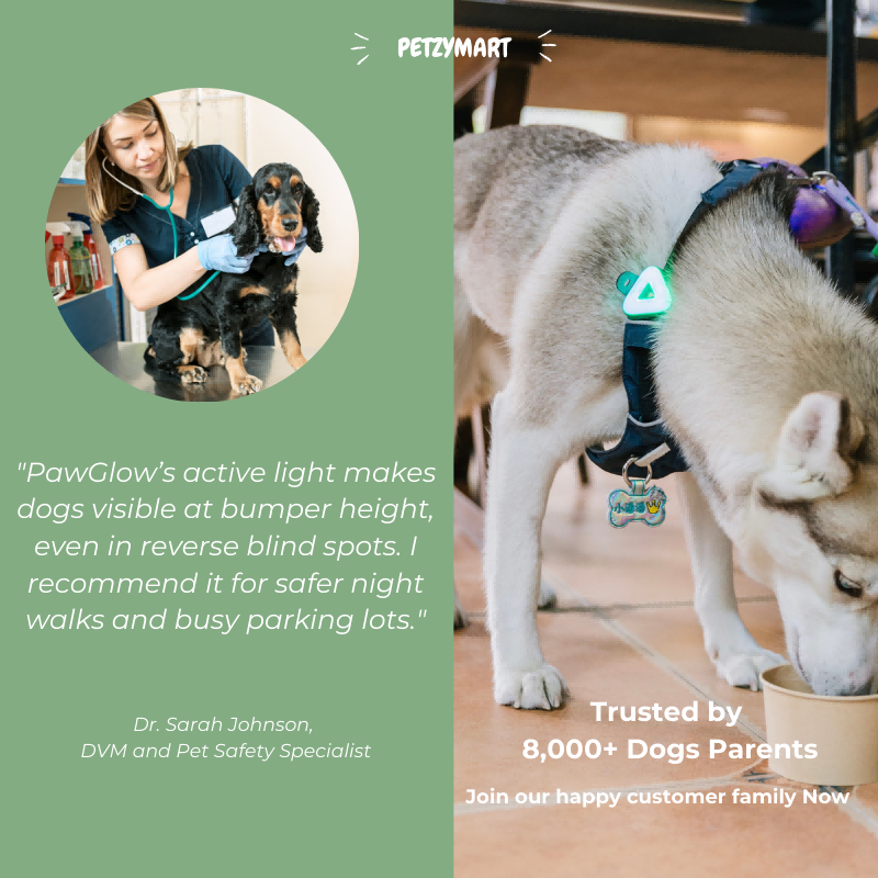 PetzyMart™ PawGlow