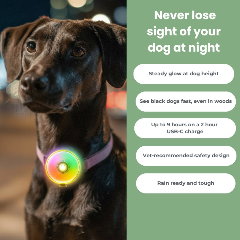 PetzyMart™ PawGlow