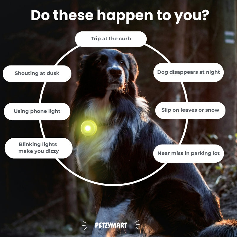 PetzyMart™ PawGlow
