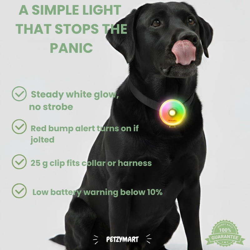 Black dog wearing a glowing collar with Petzymart branding and product features listed.