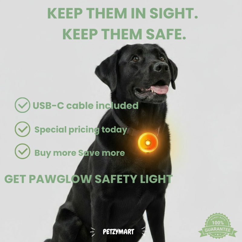 PetzyMart™ PawGlow