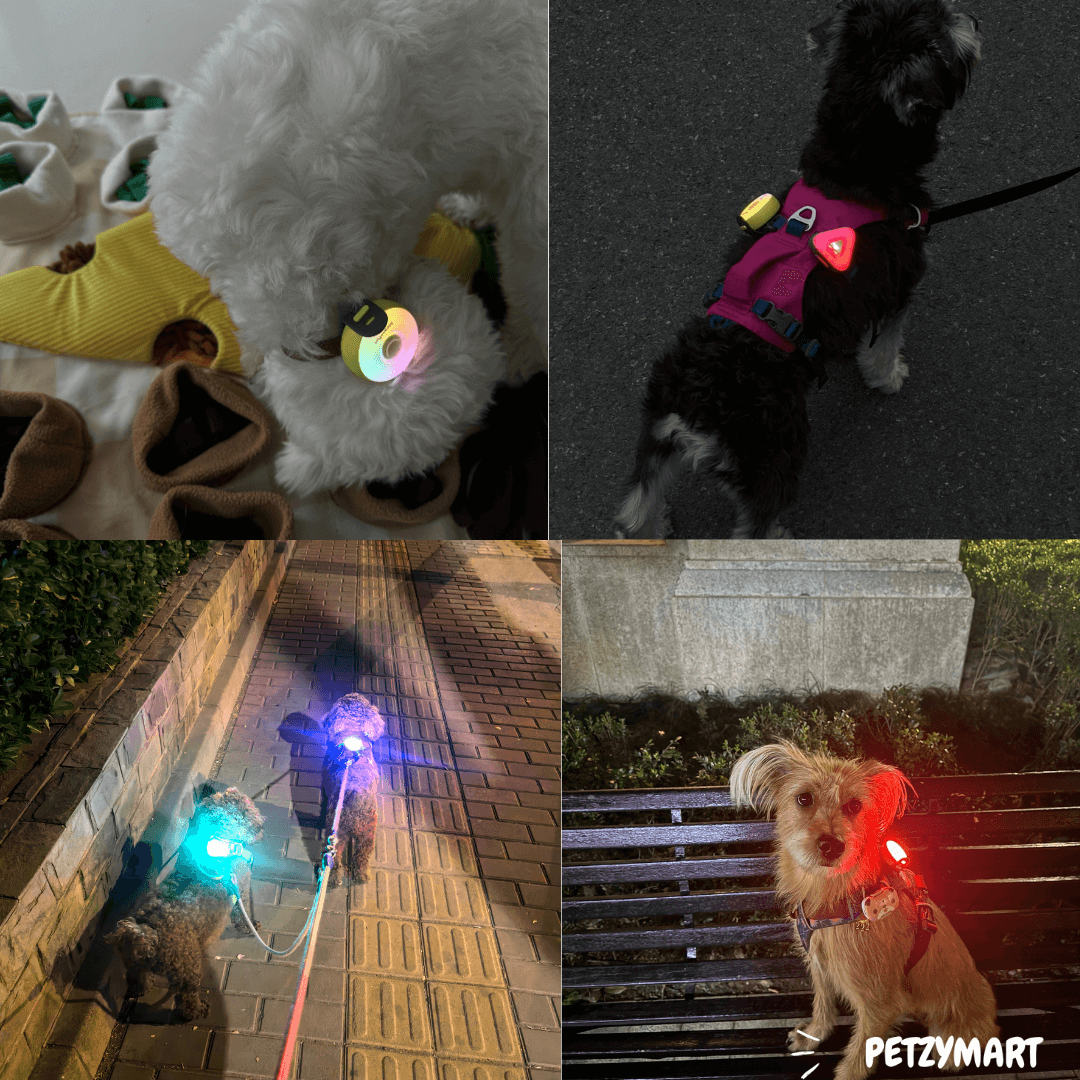 PetzyMart™ PawGlow