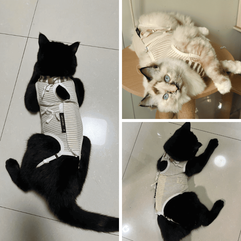 PetzyMart™ SafeHeal Cat Suit
