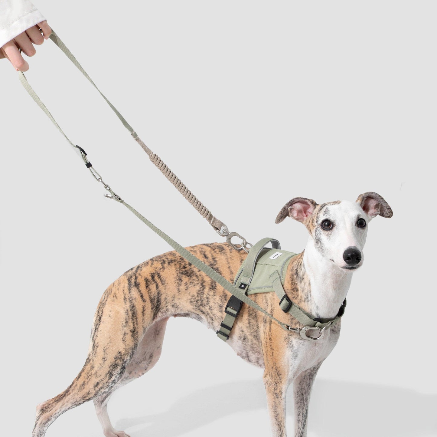 PetzyMart™ Valley Dog Vest Set