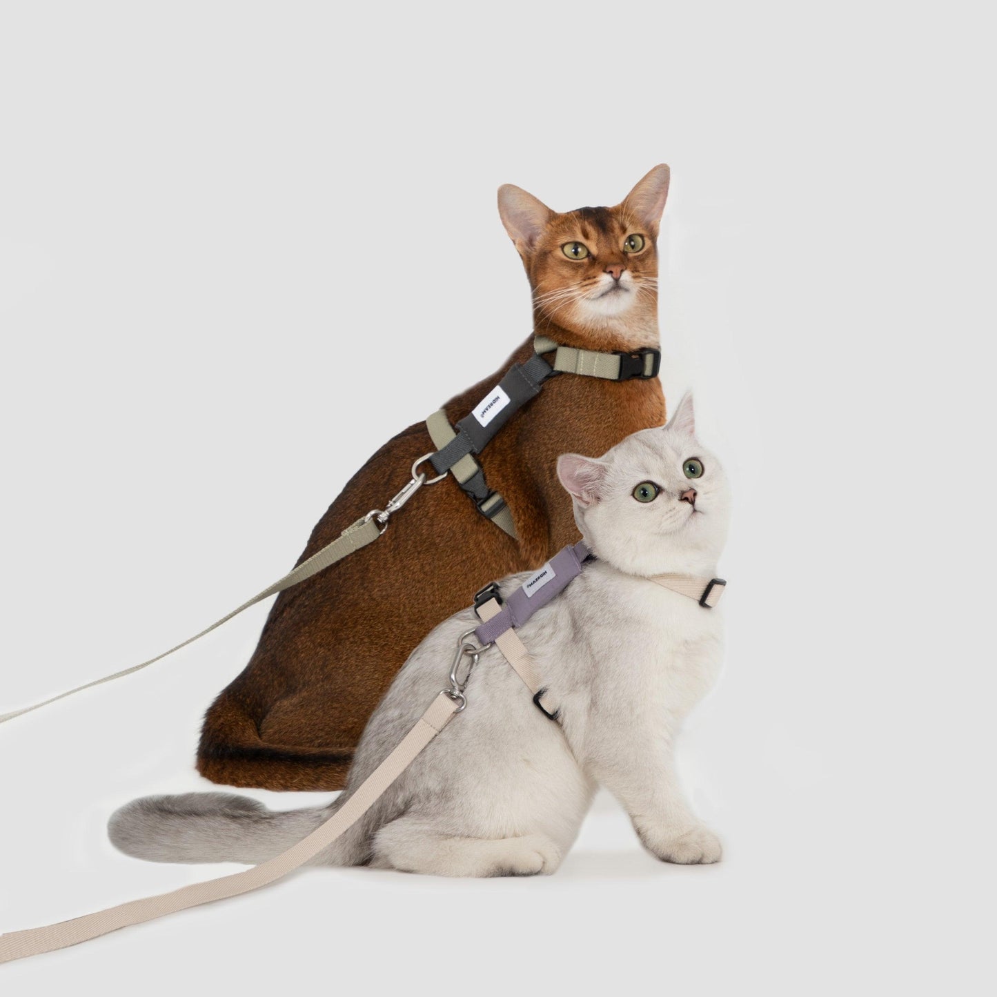 PetzyMart™ Valley Light Cat Set