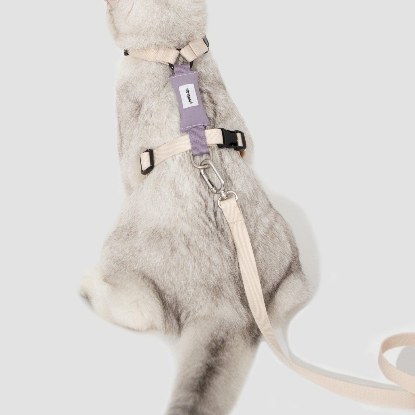 PetzyMart™ Valley Light Cat Set