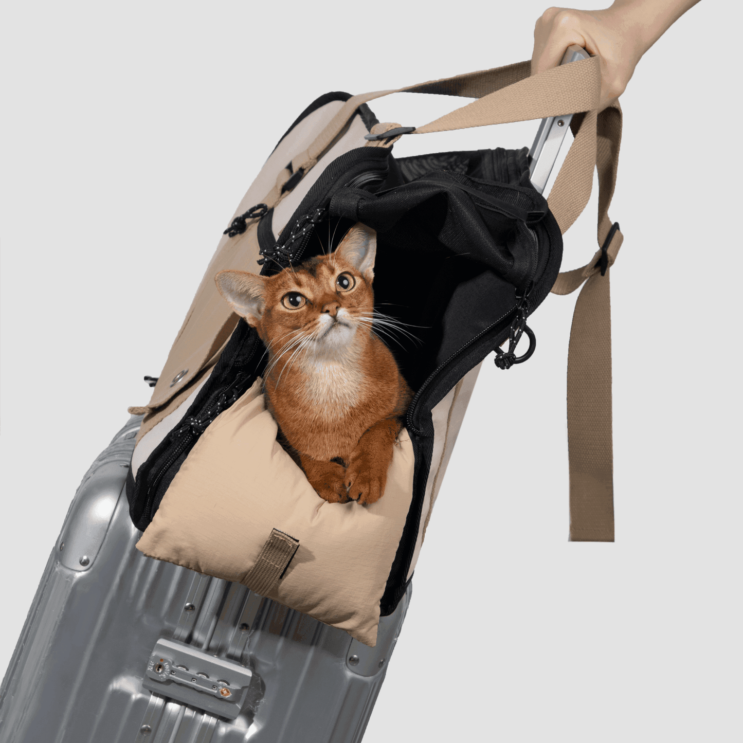 HiDREAM Pet Sling Carrier Bag Hands Free Reversible Pet Papoose Bag - PetzyMart