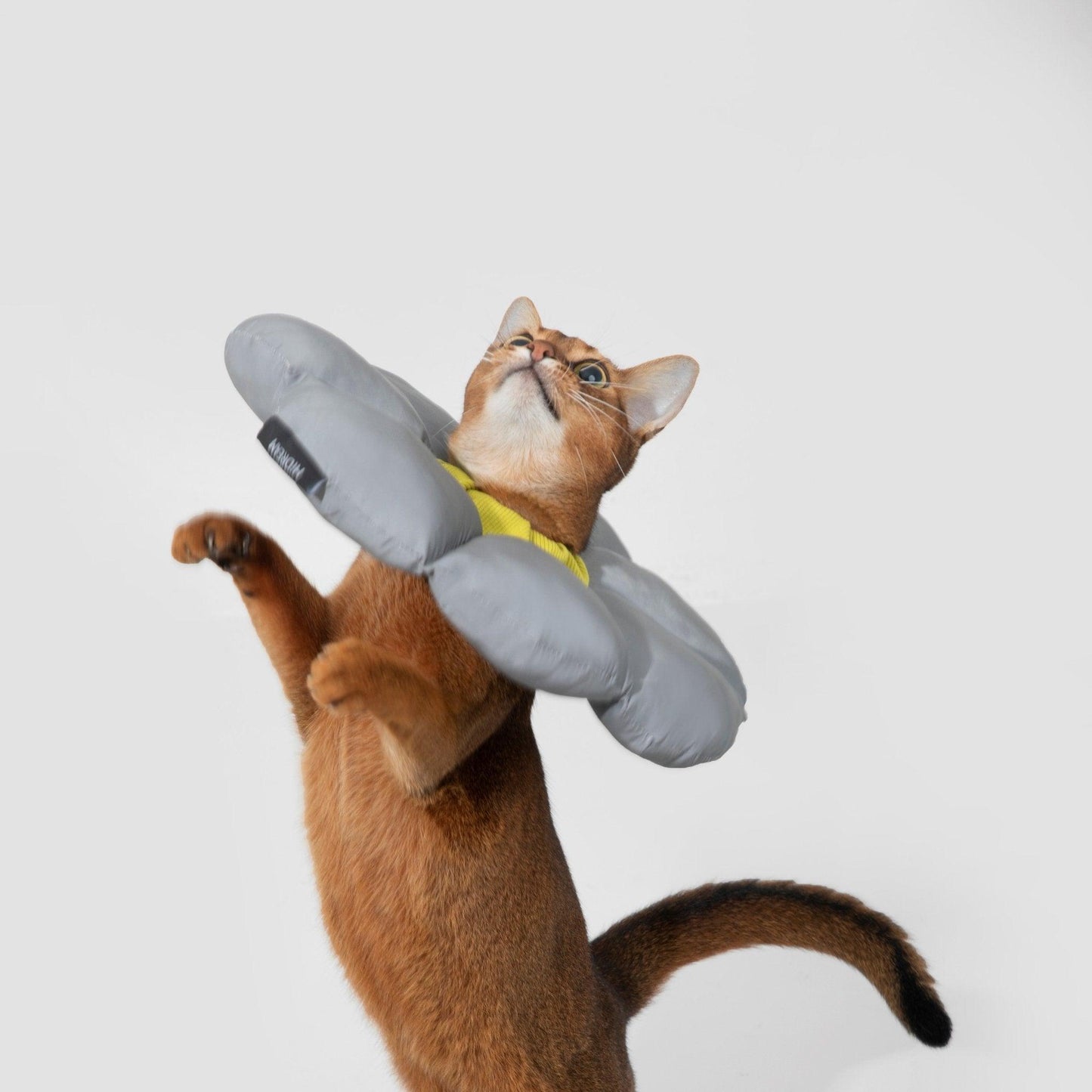 HiDREAM Flower Shaped Elizabethan Rings Cute Waterproof Cat Recovery Collar All-Season Style - PetzyMart