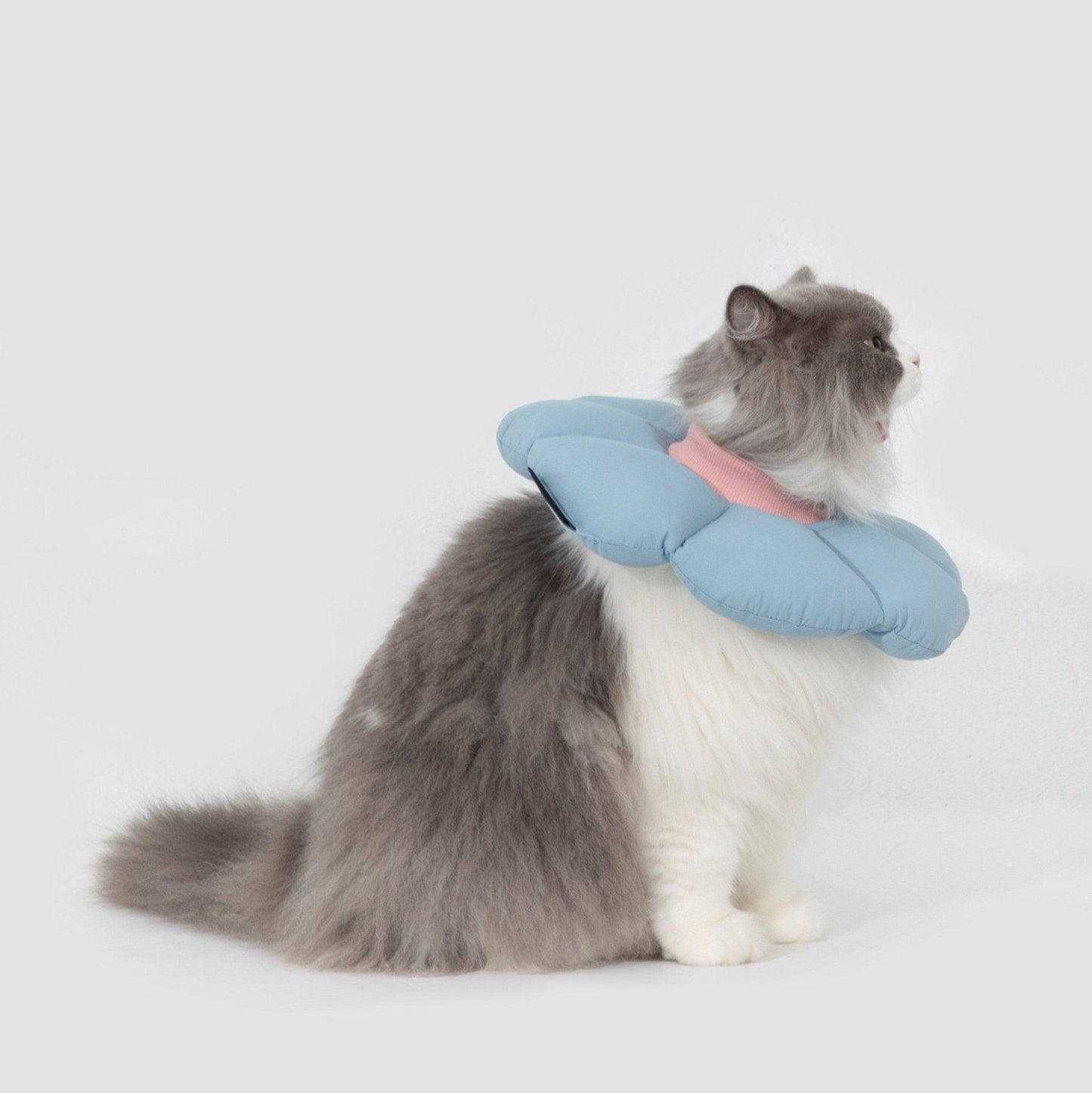 HiDREAM Flower Shaped Elizabethan Rings Cute Waterproof Cat Recovery Collar All-Season Style - PetzyMart
