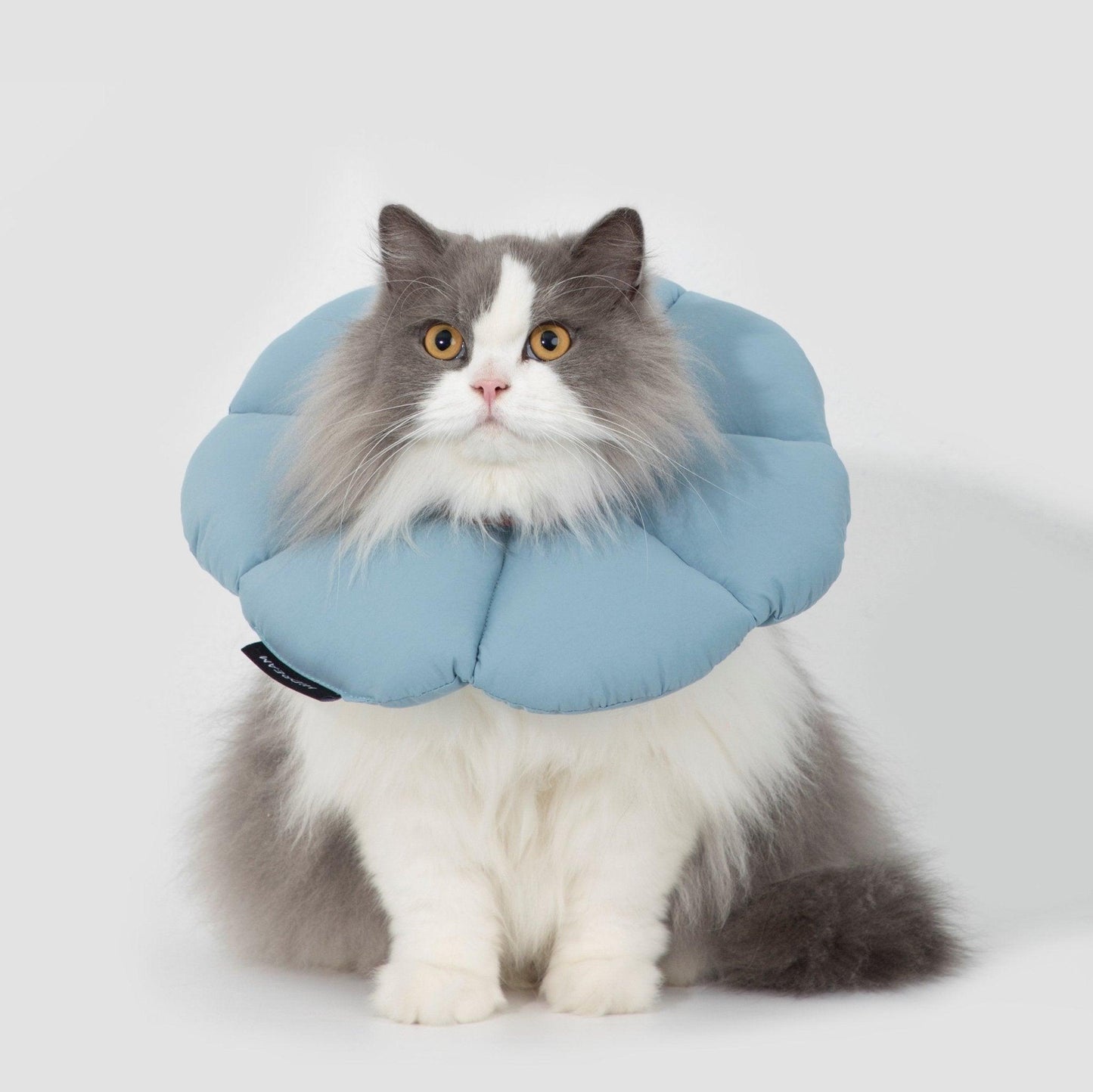 HiDREAM Flower Shaped Elizabethan Rings Cute Waterproof Cat Recovery Collar All-Season Style - PetzyMart