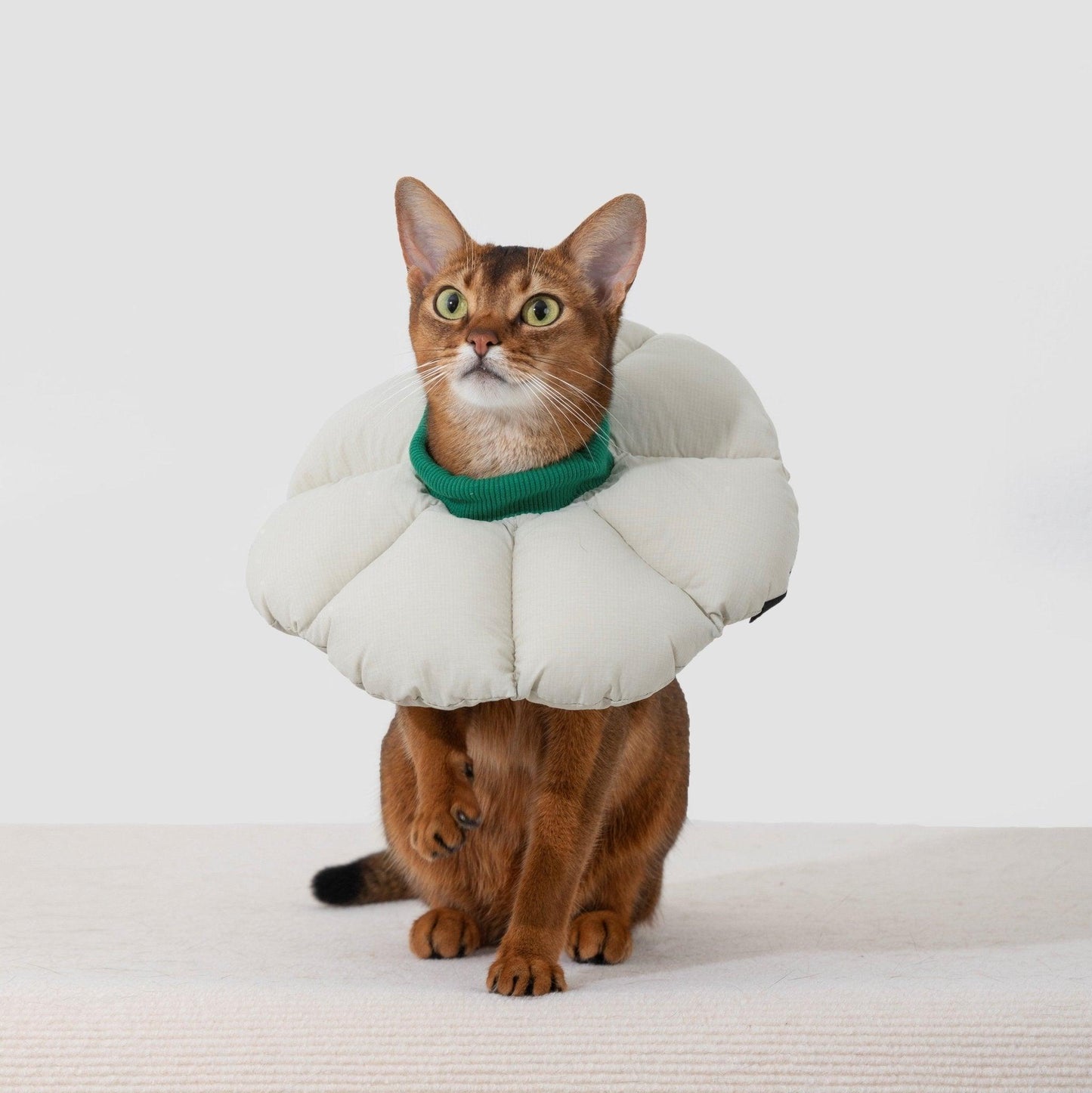 HiDREAM Flower Shaped Elizabethan Rings Cute Waterproof Cat Recovery Collar All-Season Style - PetzyMart