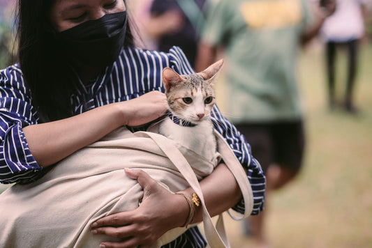 A woman outdoors holds a cat chest-high in a soft beige cloth bag, the cat's head and shoulders out and ears up, blurred people behind