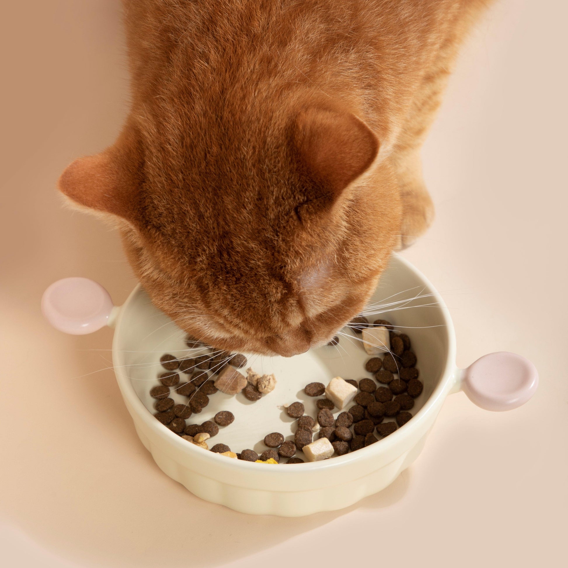 HiDREAM Pet Ceramic Bowl Modern and Stylish Pet Feeding Bowl - PetzyMart