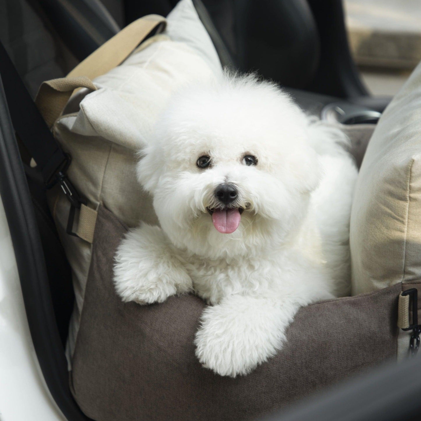 PetzyMart Premium Pet Travel Bed