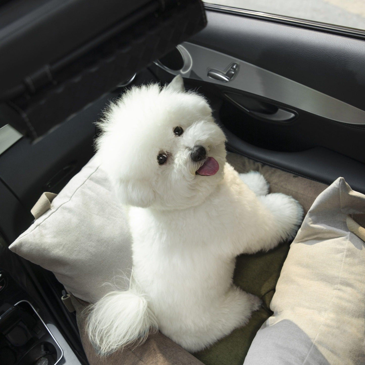 PetzyMart Premium Pet Travel Bed