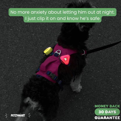 PetzyMart™ PawGlow