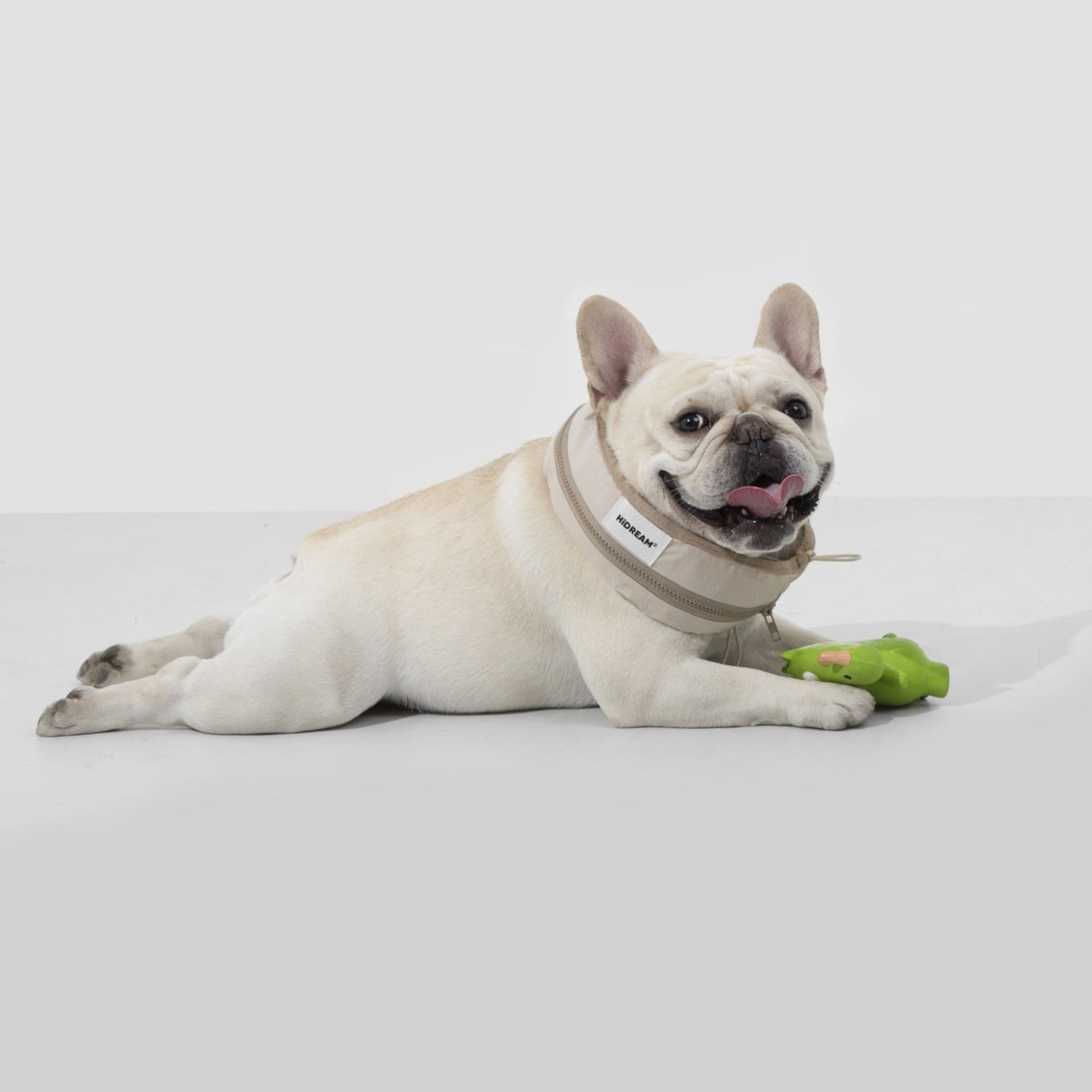 Dog lying on a white surface with a green toy
