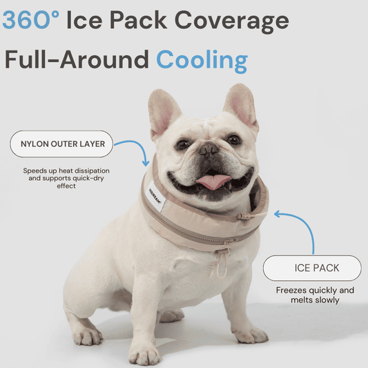 PetzyMart™ CoolLoop