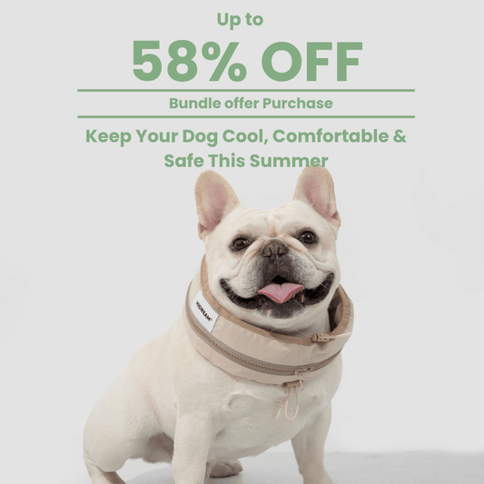 Dog wearing a cooling vest with promotional text on a white background