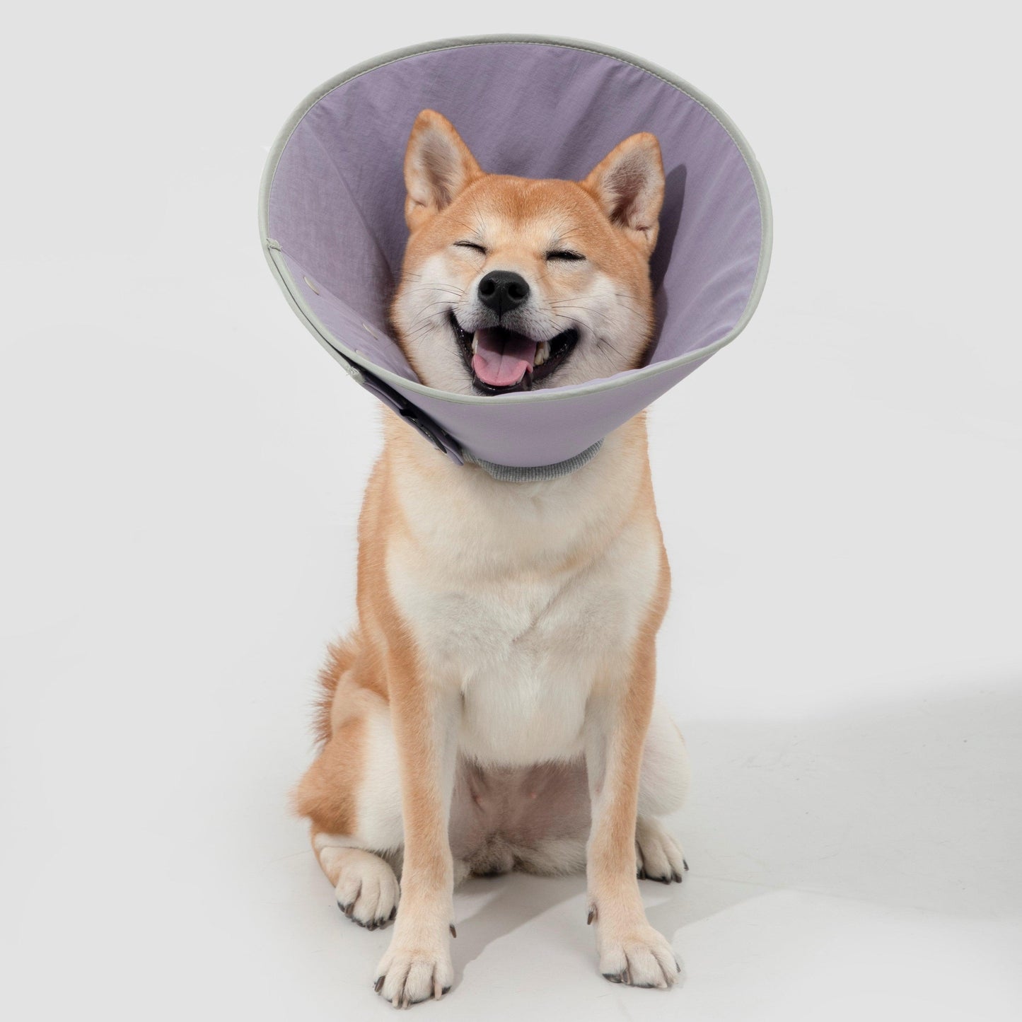 HiDREAM Snap Taper Elizabethan Pet Recovery Collar - PetzyMart