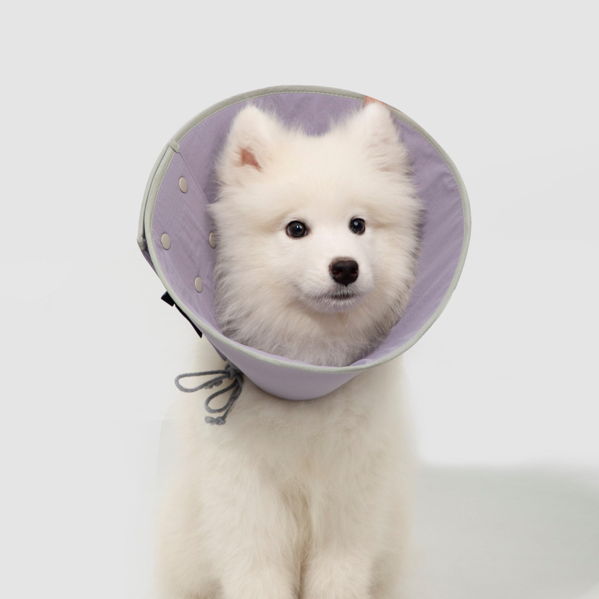 HiDREAM Snap Taper Elizabethan Pet Recovery Collar - PetzyMart